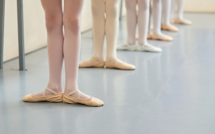 lederen balletschoenen